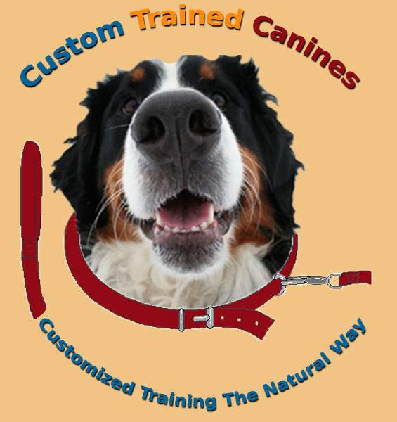 Custom Trained Canines 