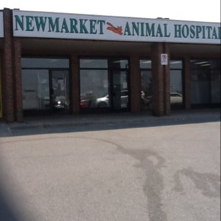Newmarket Animal Hospital