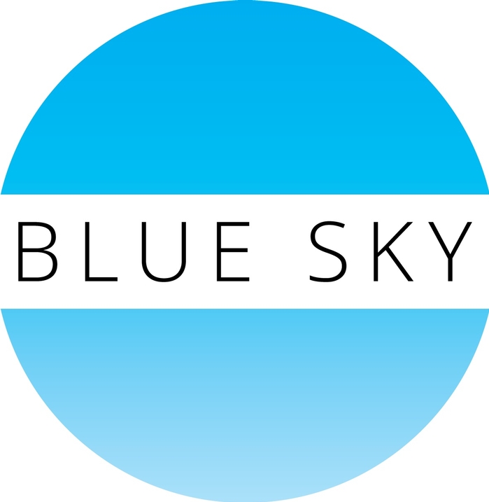 Blue Sky Accounting and Management